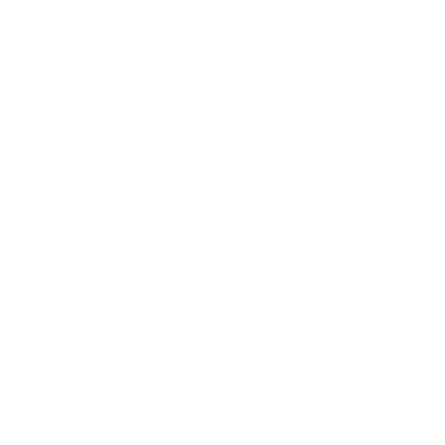 logo-bao-linh-trang